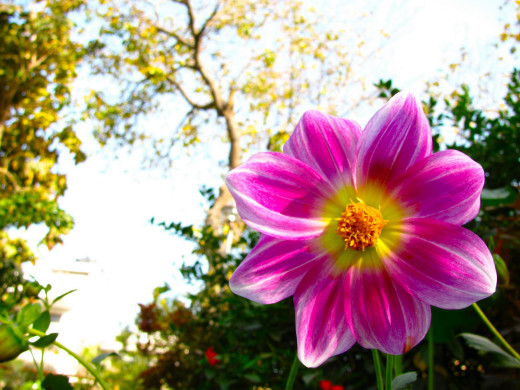 648180 (a): :1920x1440